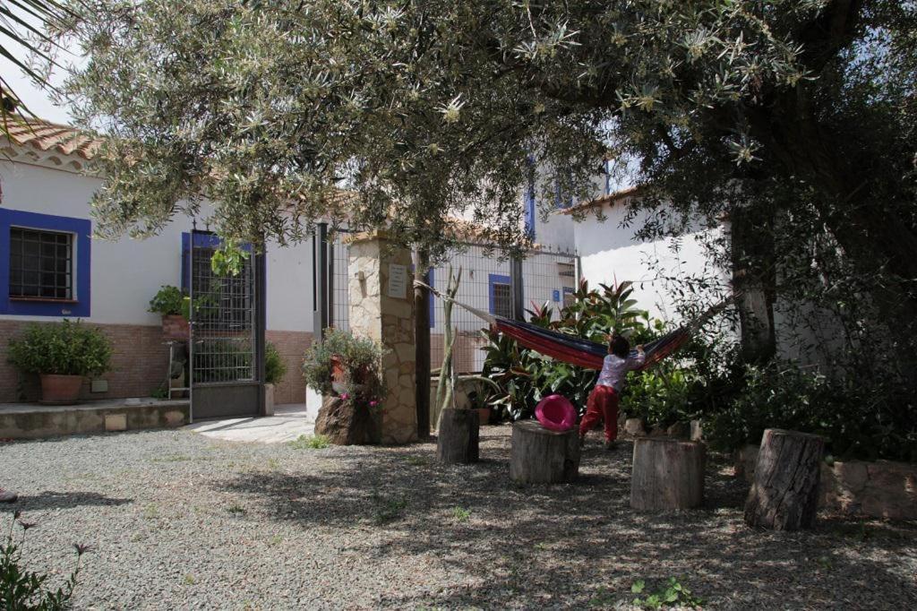 Casa Rural La Noria La Escucha Екстериор снимка